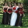 Wedding Darcy and Ryan 2010